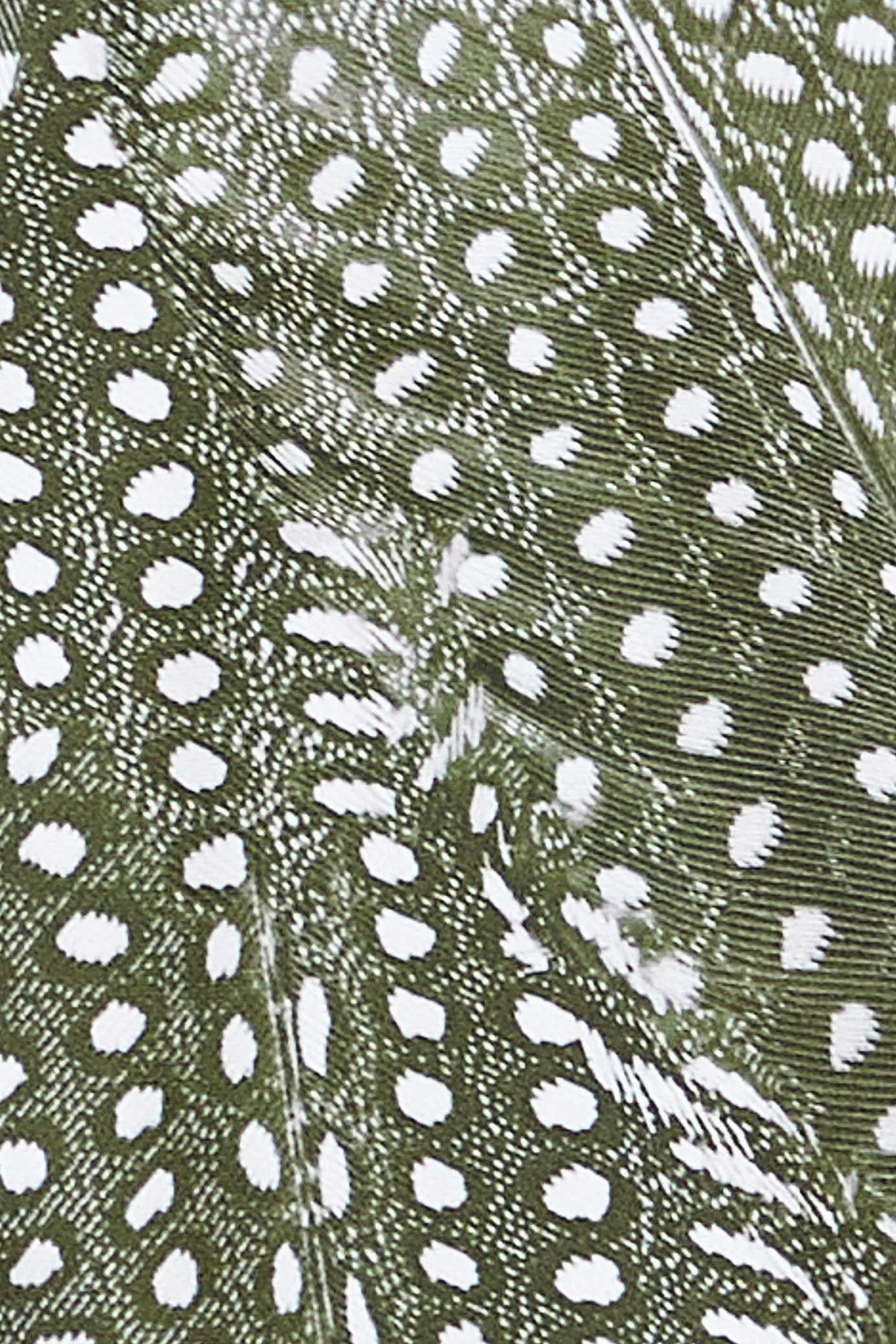praia bottom in olive guinea - Image 4